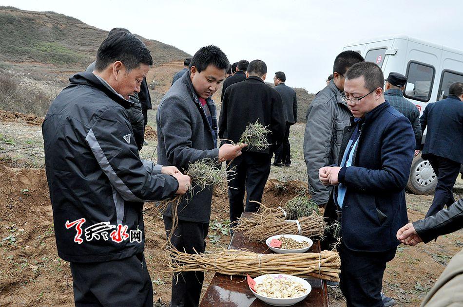 红包雨来了！20家银行中期分红超2500亿元