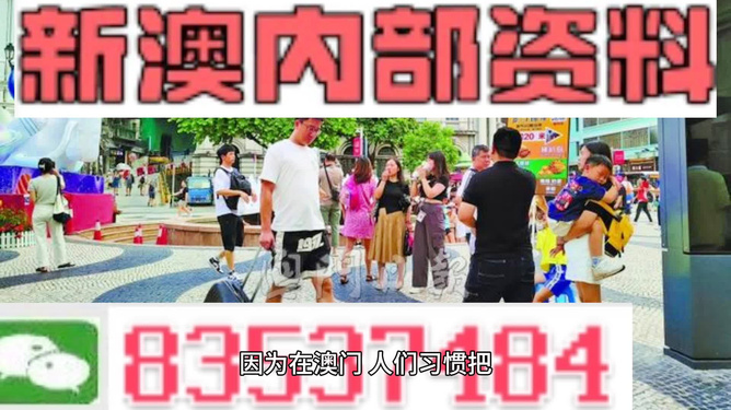 2024澳门精准正版资料，效率解答解释落实_GM版65.52.54