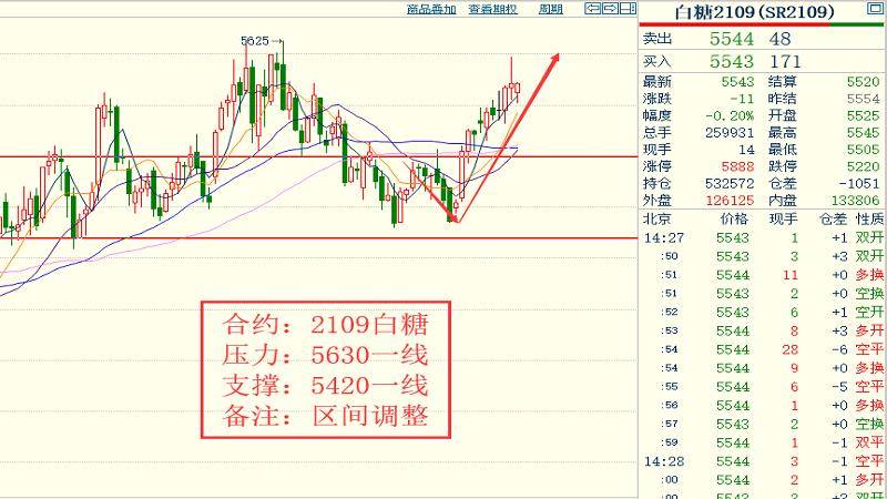 2024今晚香港开特马开什么六期，最新解答解释落实_VIP80.81.14