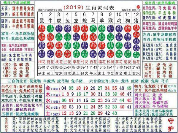 2024最新奥马免费资料生肖卡，现状解答解释落实_V72.77.23