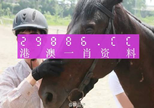 澳门一肖一码必中一肖一码，真实解答解释落实_V12.44.76