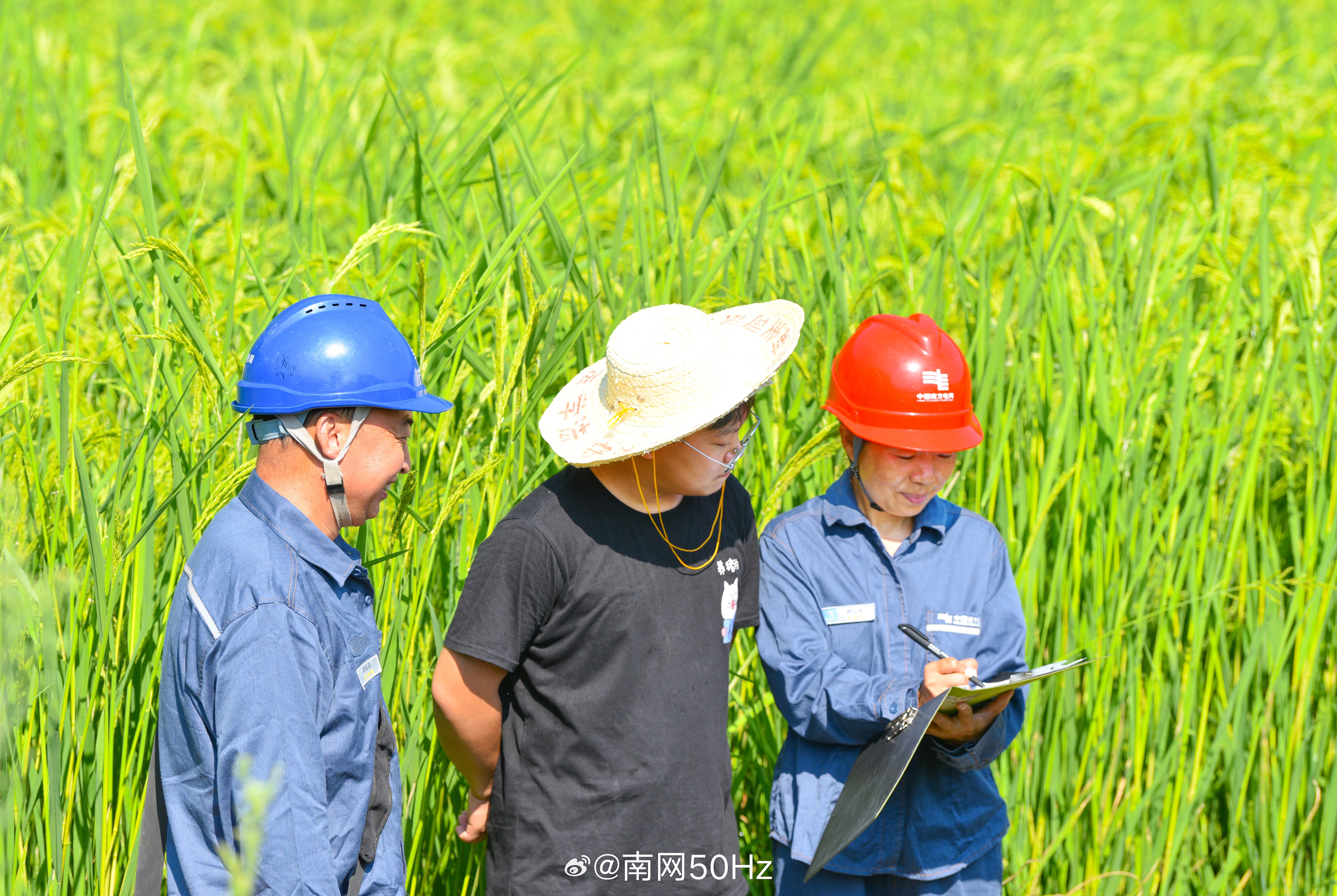 人民日报报道供电人员深入农田开展保灌用电服务——护航农业灌溉，电力在行动