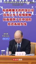 重庆多名官员疑涉广阳岛开发被查，投资超百亿背后的权力博弈与监管漏洞