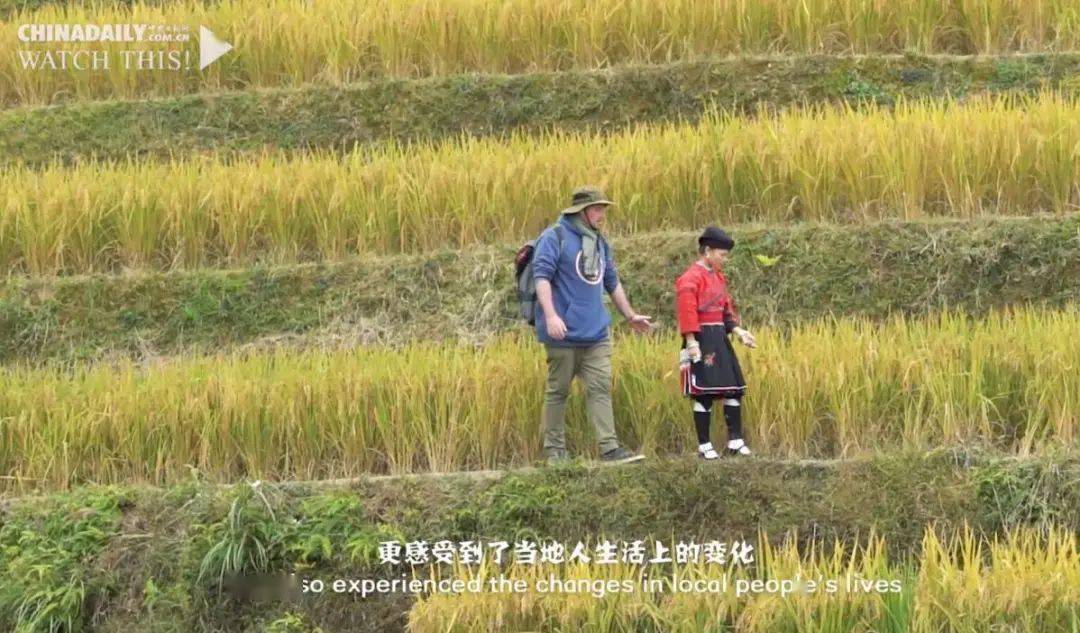 （乡村行·看振兴）广西乡村发展中药材种植 民众致富有良方