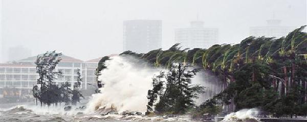 台风来袭，银杏成为海南省最强台风银杏席卷全岛，影响深远