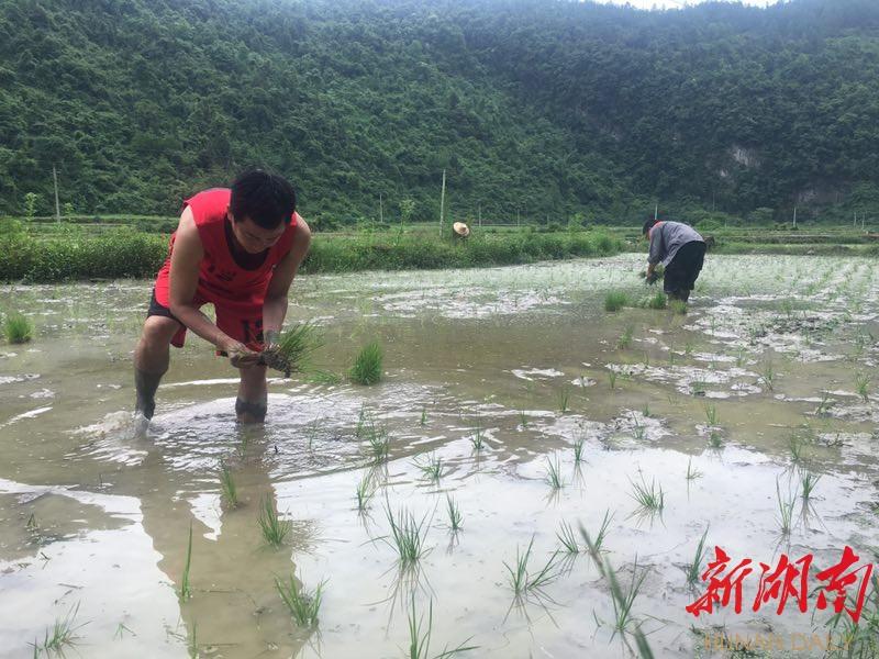 民族舞剧二十四时舞长沙震撼展演，展现苗族非遗文化魅力