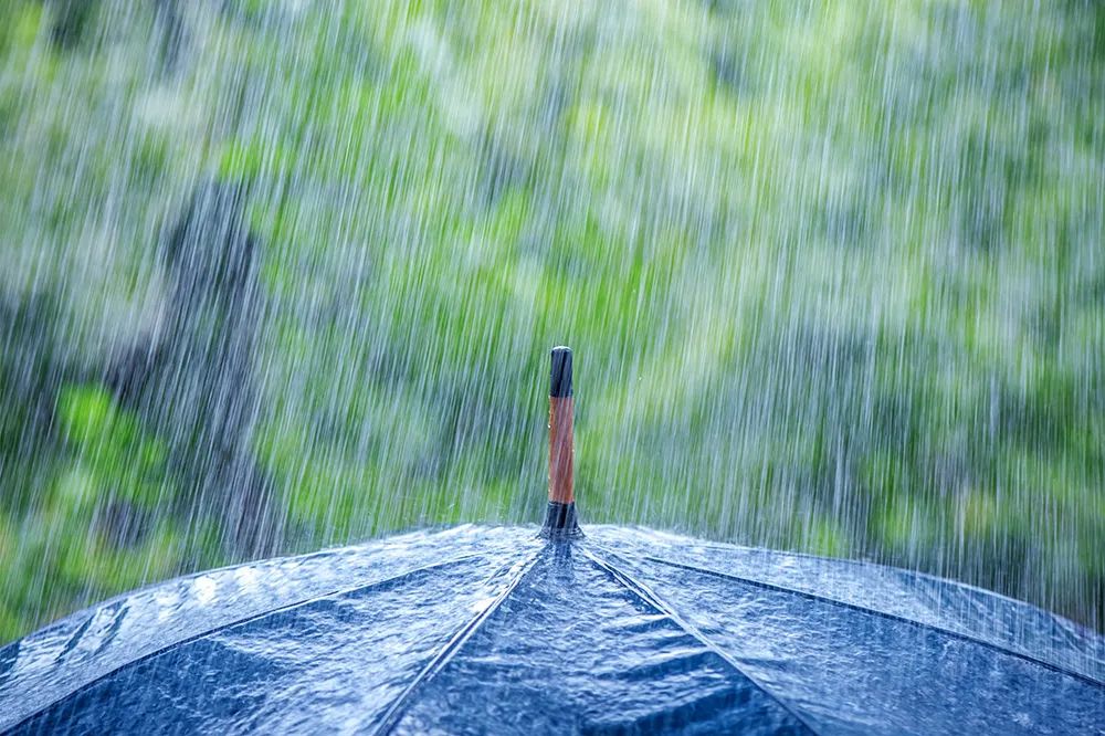 北京雨过天晴，气温回升，夜间或将破冰点——一场突如其来的春雨带来的变化