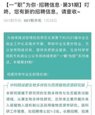 从实习到就业，老师指引下的成长之路