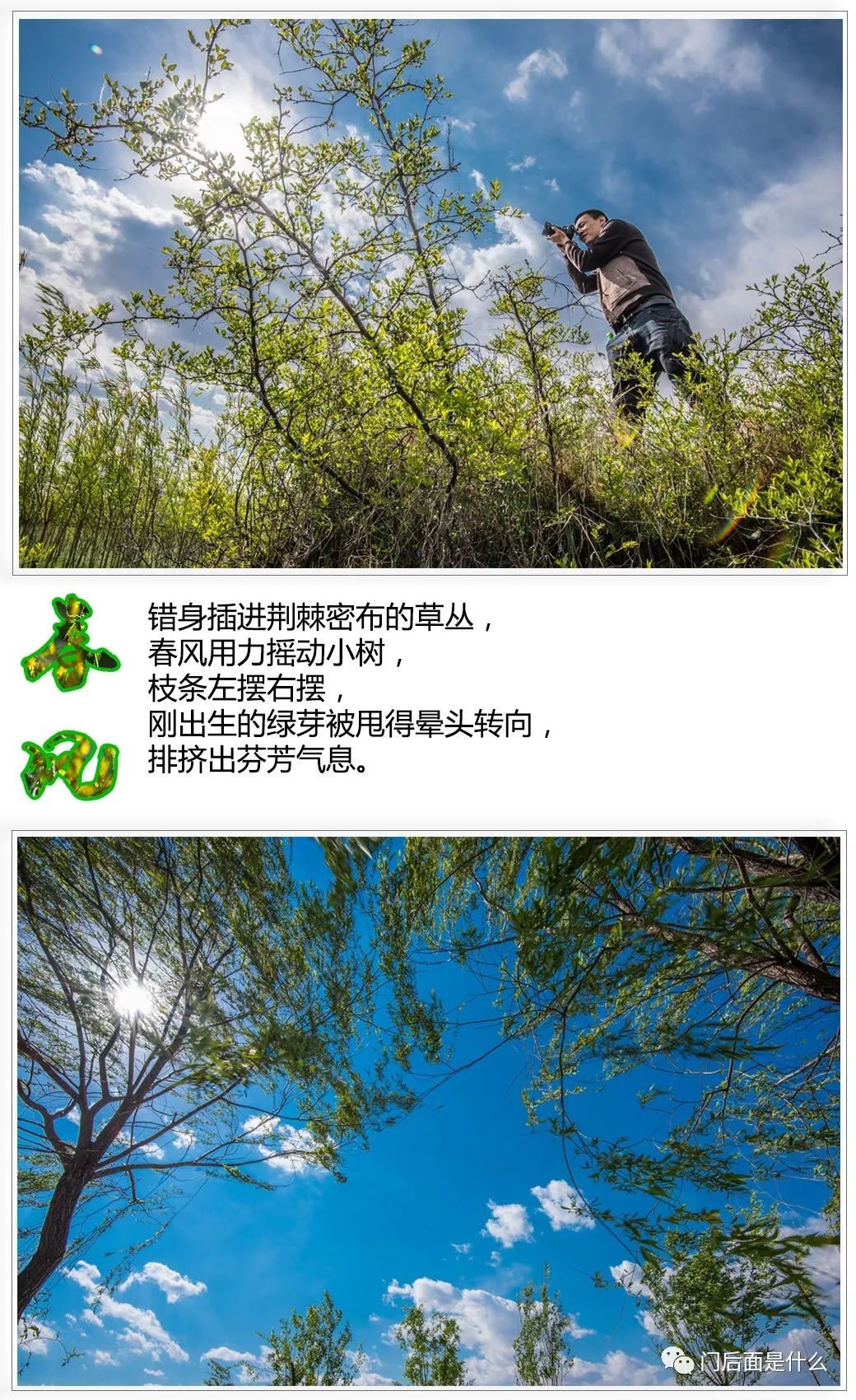 立冬已过，秋景绵长——一场关于季节的诗意对话