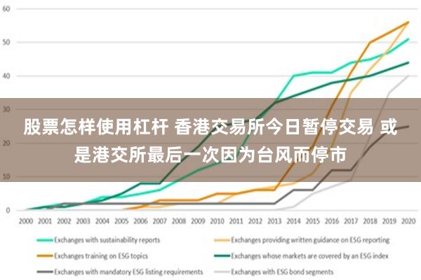 港交所首次触发打风不停市，深度解读与影响展望