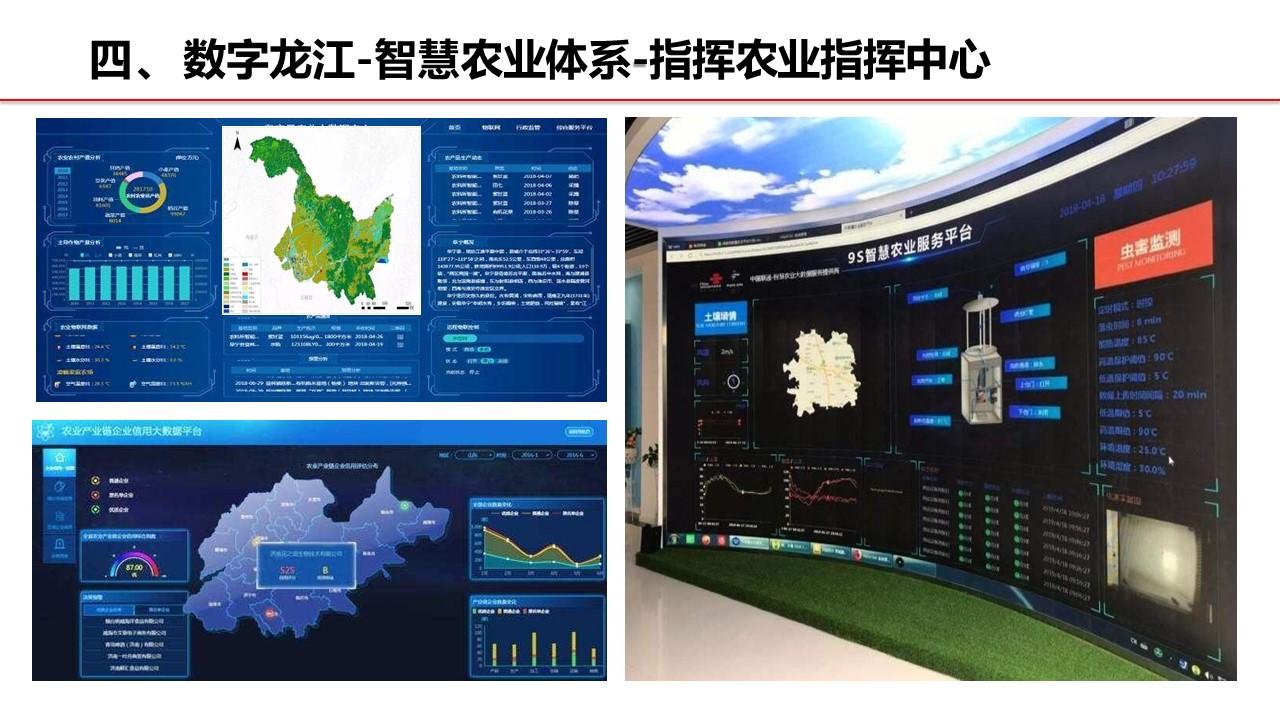 定制农业，开辟龙江农业新赛道