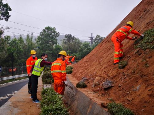 杨惠雯