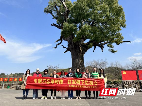 红军树下传薪火 藏蓝警色护平安——张家界市慈利县溪口派出所的坚守与担当